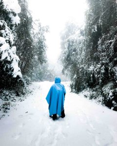 Dai Snowfall hike
