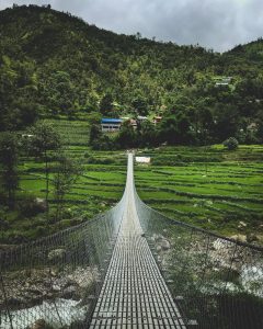 Brdige to Greenery