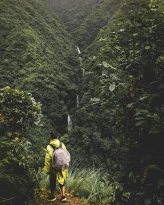 At Simba Falls